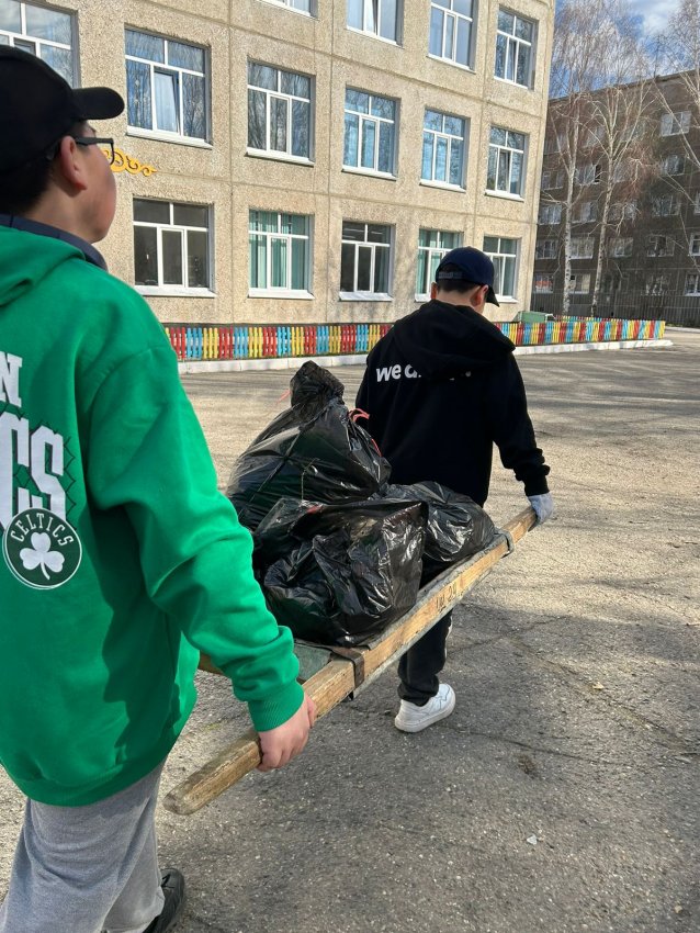 Благоустройство территории школы