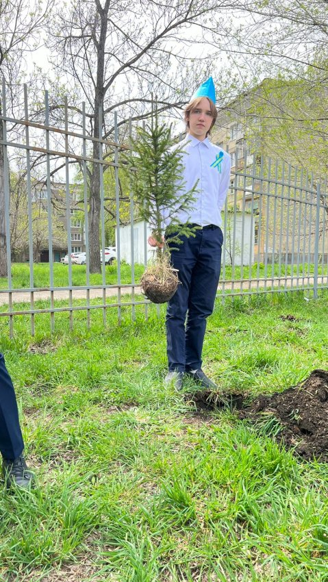 Посадка деревьев прошла в рамках экологической акции